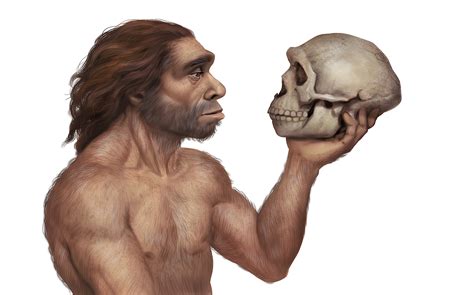 neandertal que es - que es el cáncer